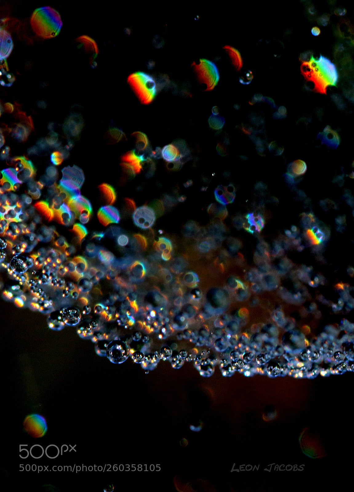 Canon EOS 700D (EOS Rebel T5i / EOS Kiss X7i) sample photo. Spiderweb photography