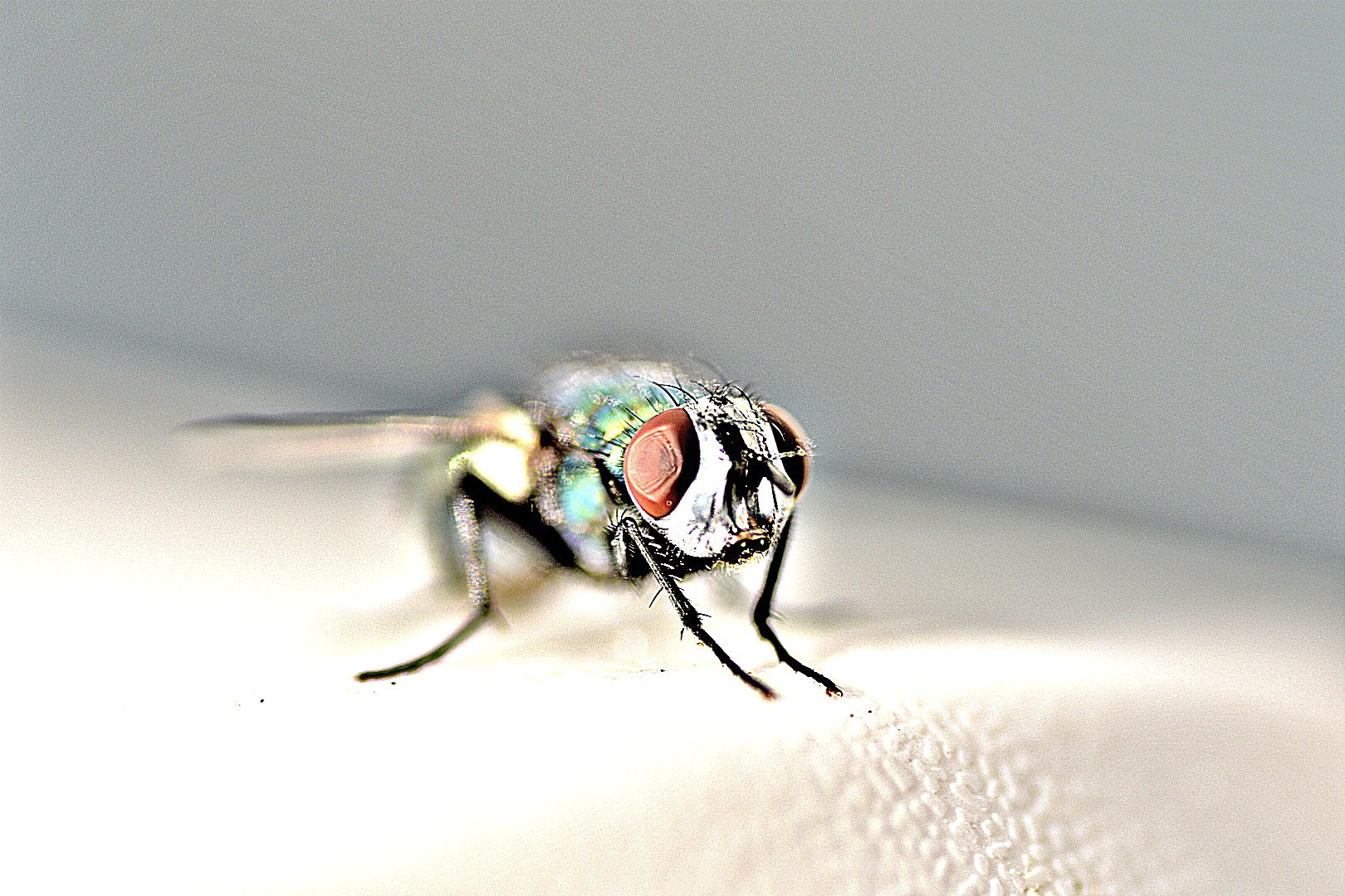 Nikon D3400 sample photo