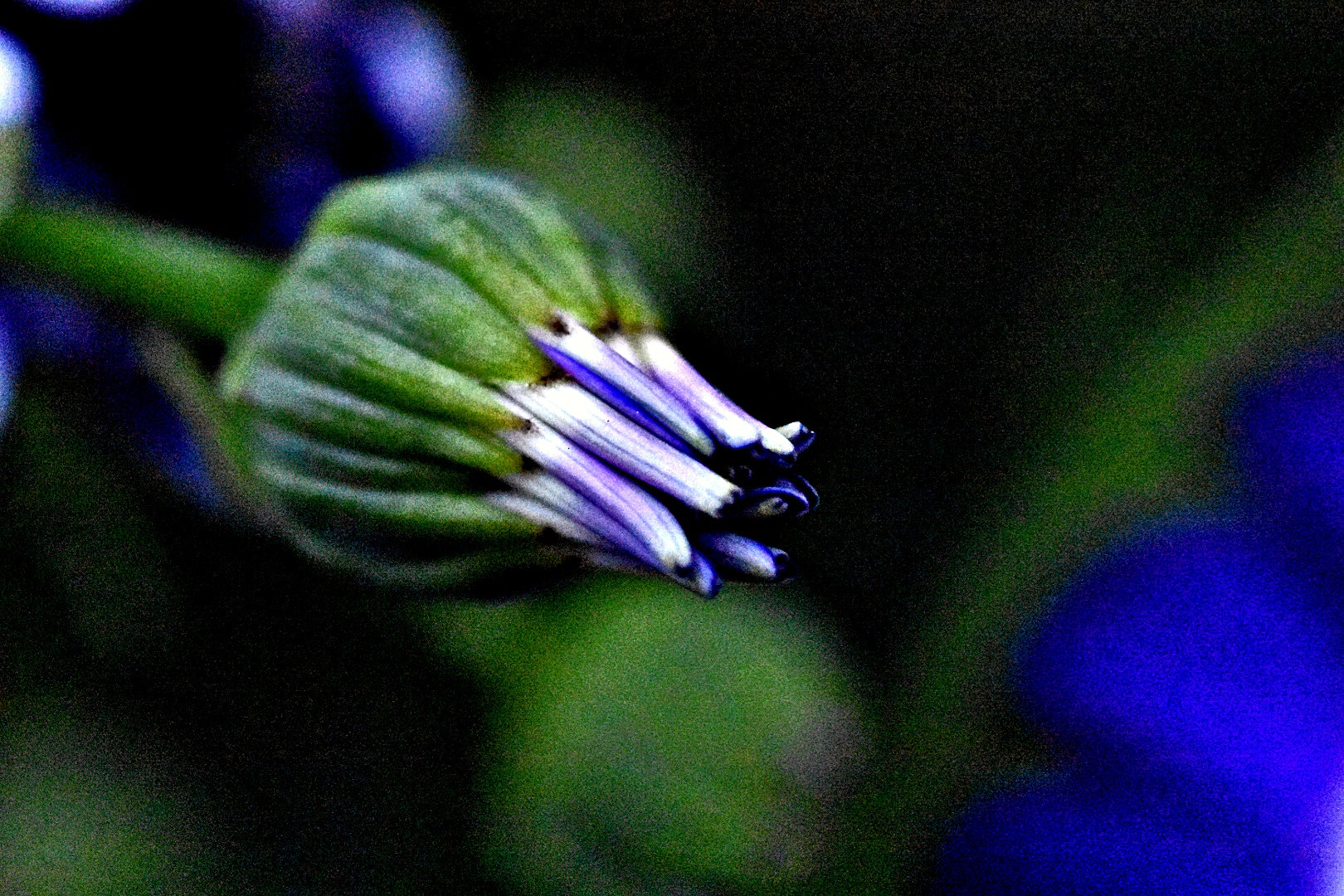 Nikon D3400 sample photo