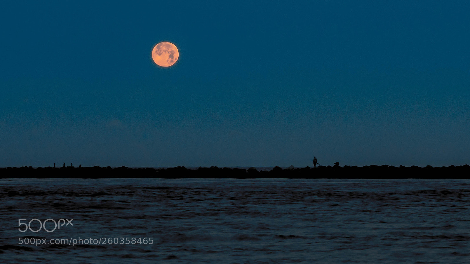 Panasonic Lumix DC-G9 sample photo. Moon over the by photography