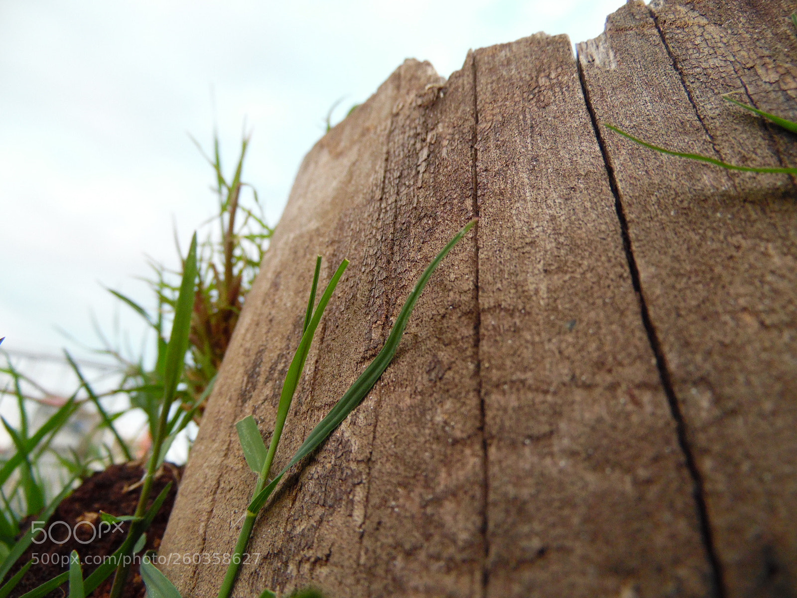 Samsung WB1100F/WB1101F/WB1102F sample photo. Static photography