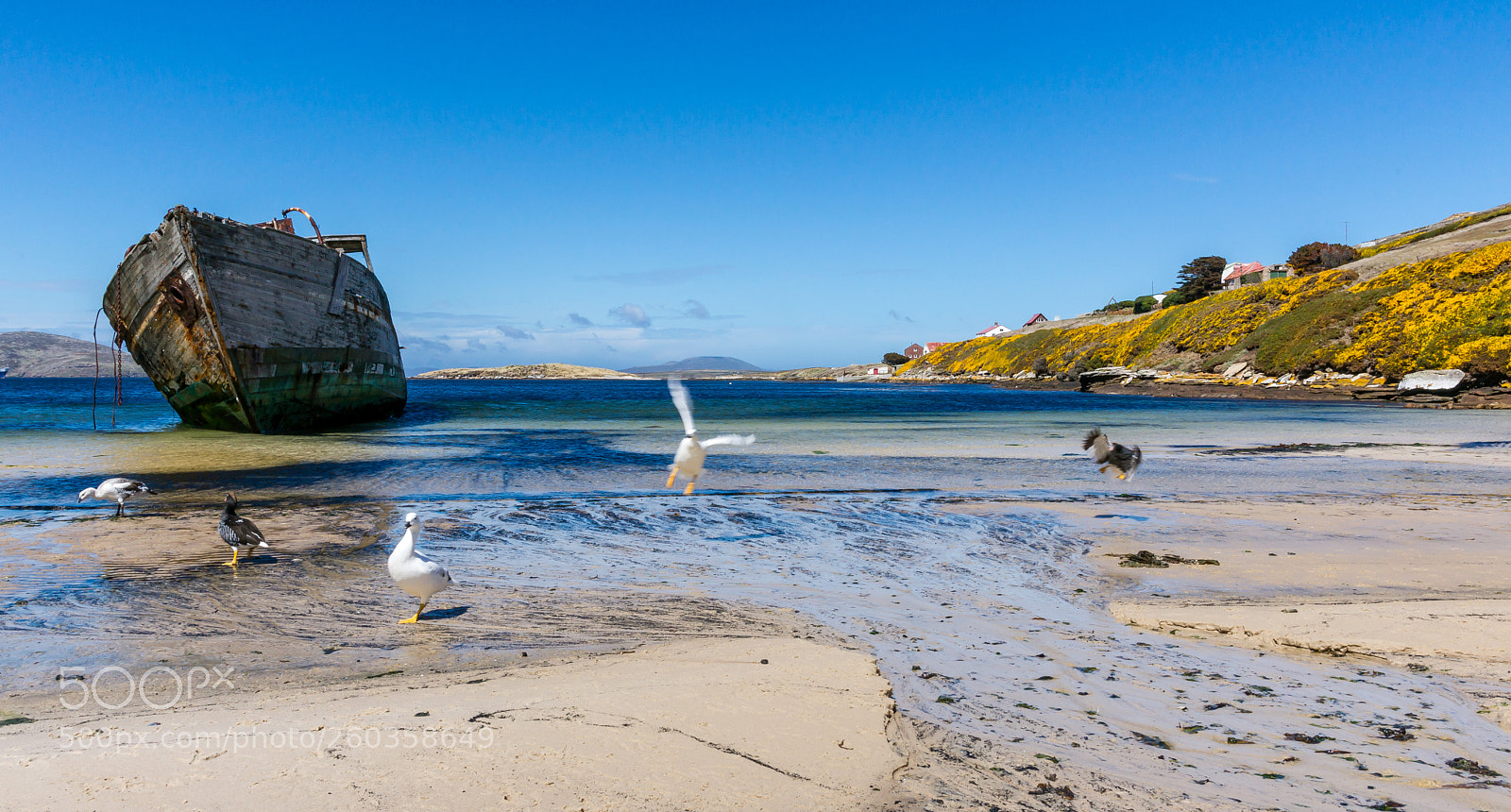 Sony Alpha DSLR-A850 sample photo. Abandoned on the beach photography