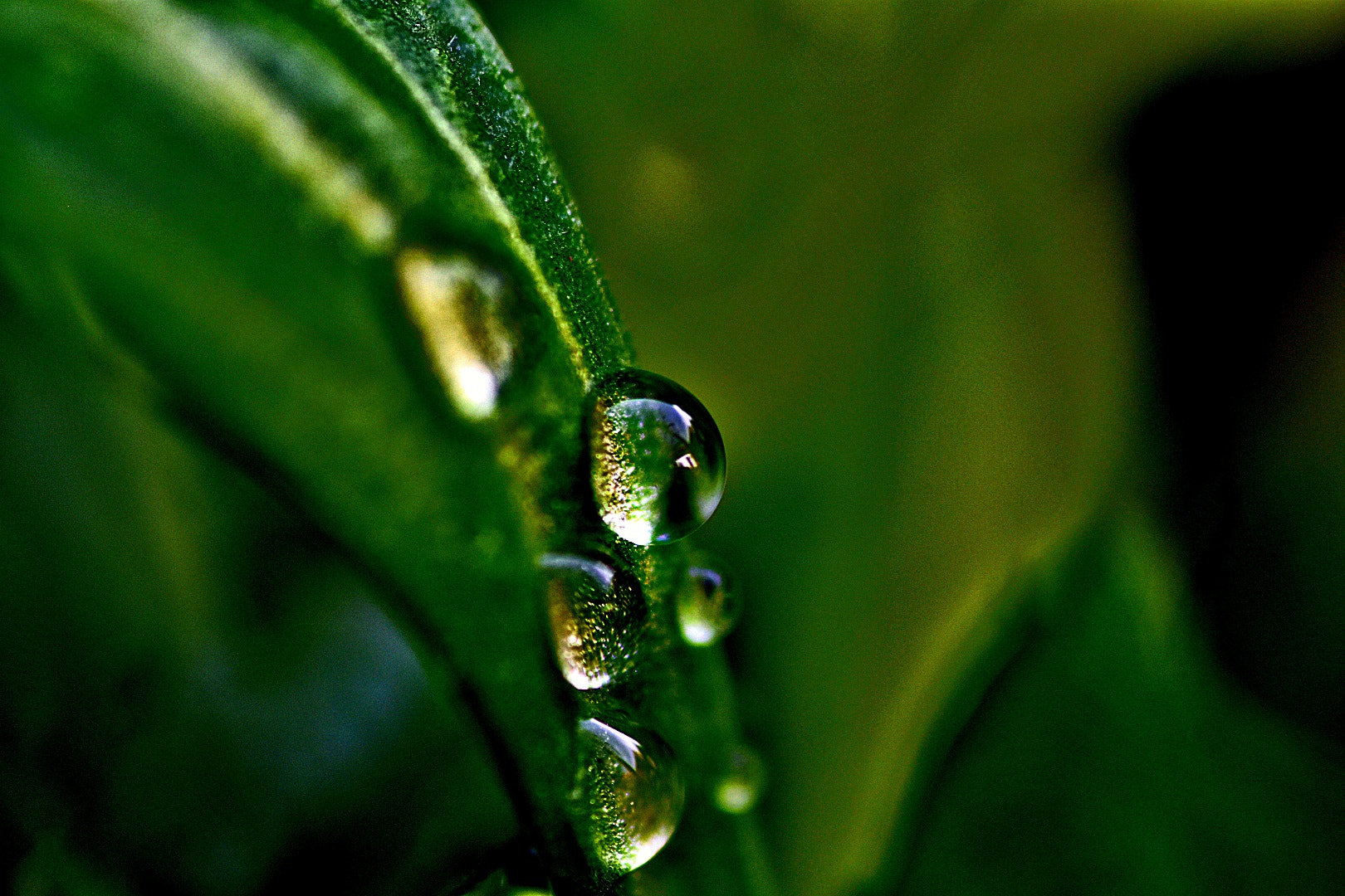Nikon D3400 sample photo