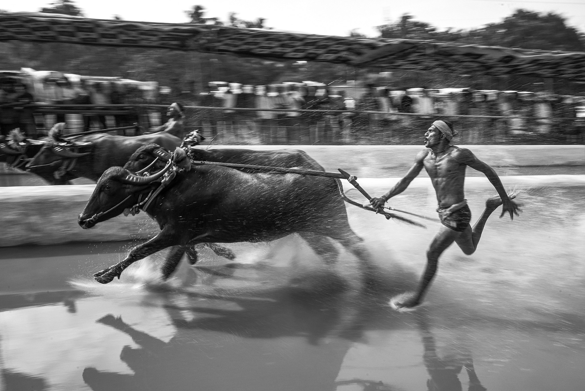 Sony a7S sample photo. Kambala mangaluru ii photography