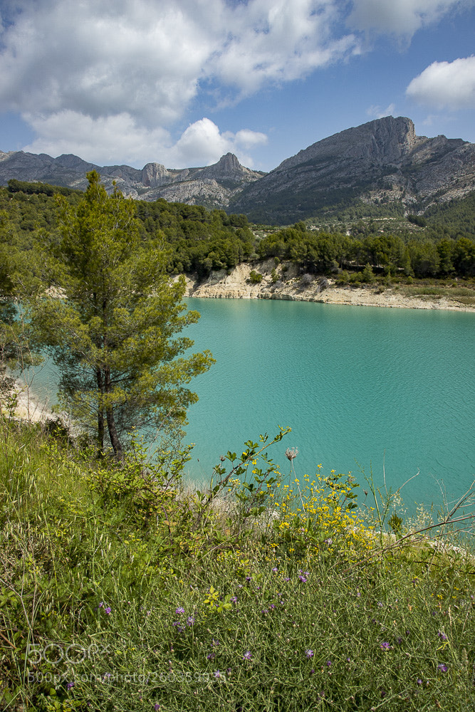 Canon EOS 6D Mark II sample photo. Embalse photography