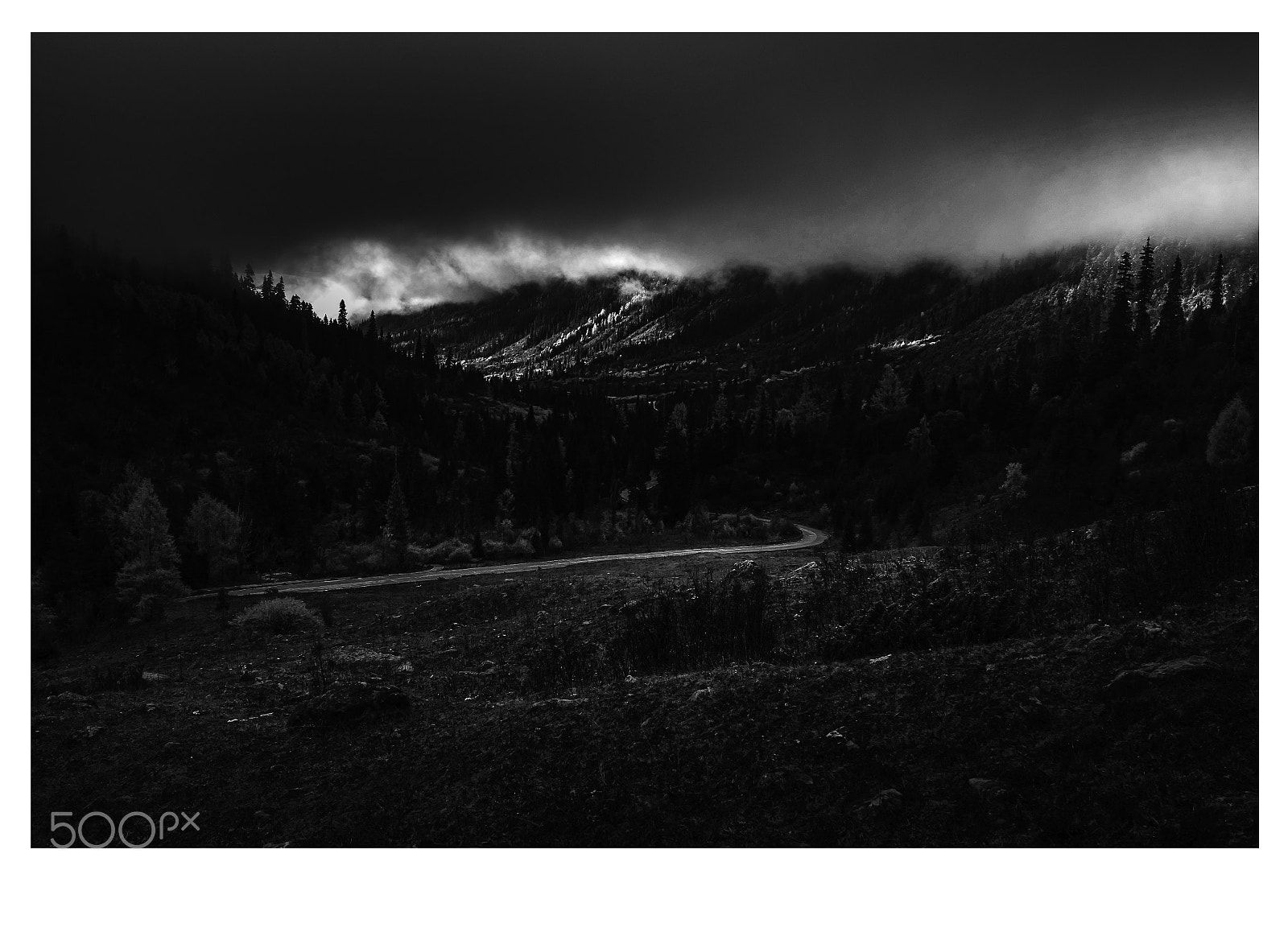 Nikon D300S sample photo. Untitled photography