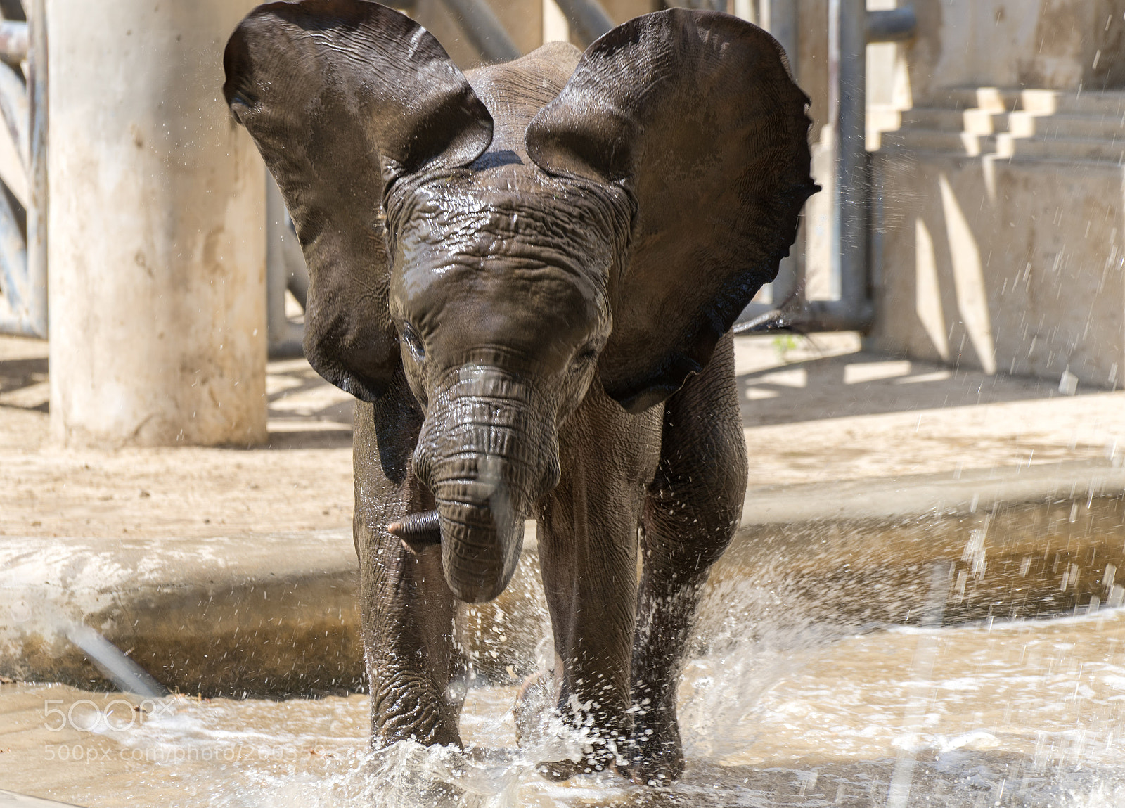 Sony a7 II sample photo. Play with water photography