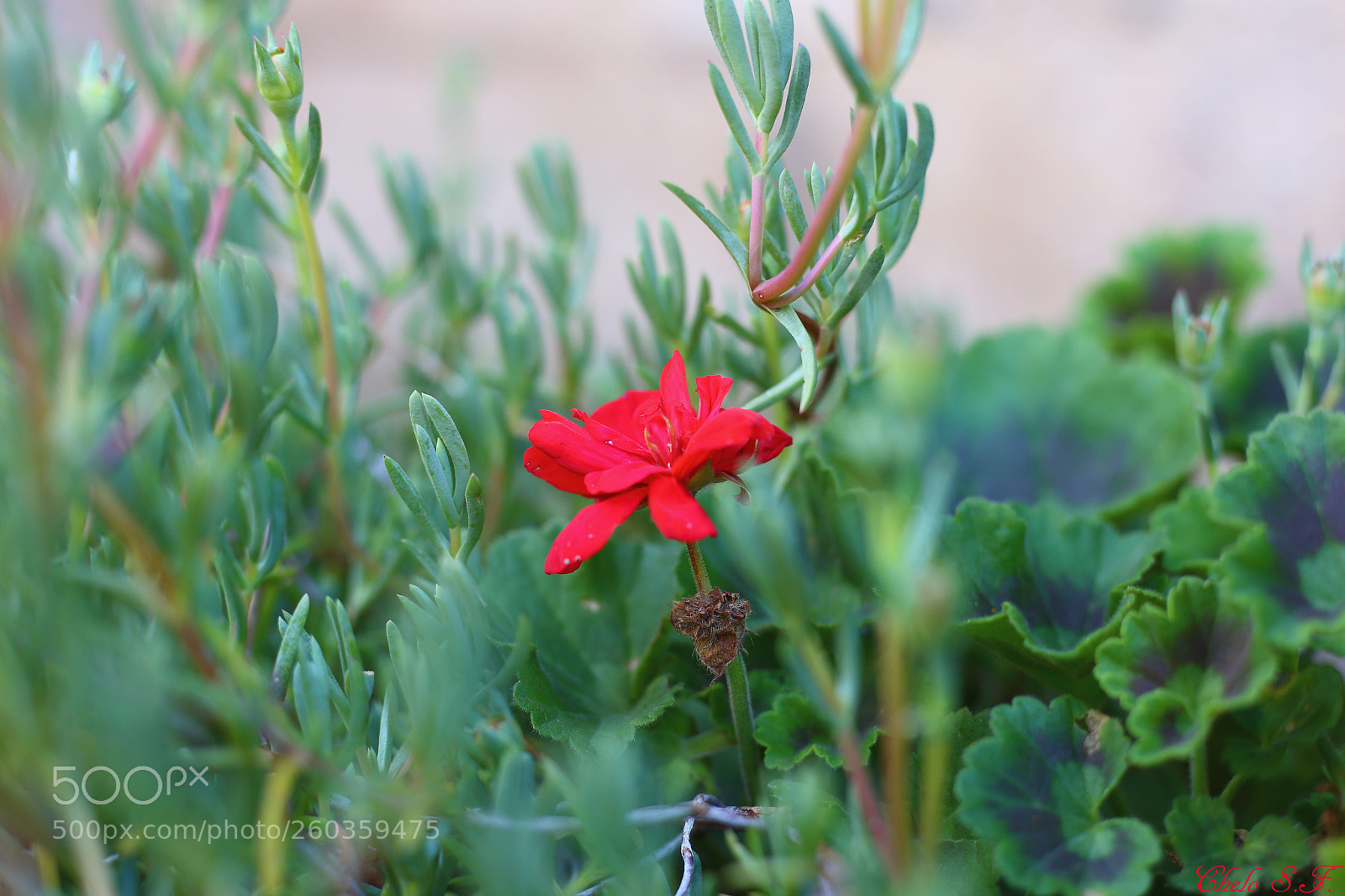 Canon EOS 6D sample photo. Untitled photography