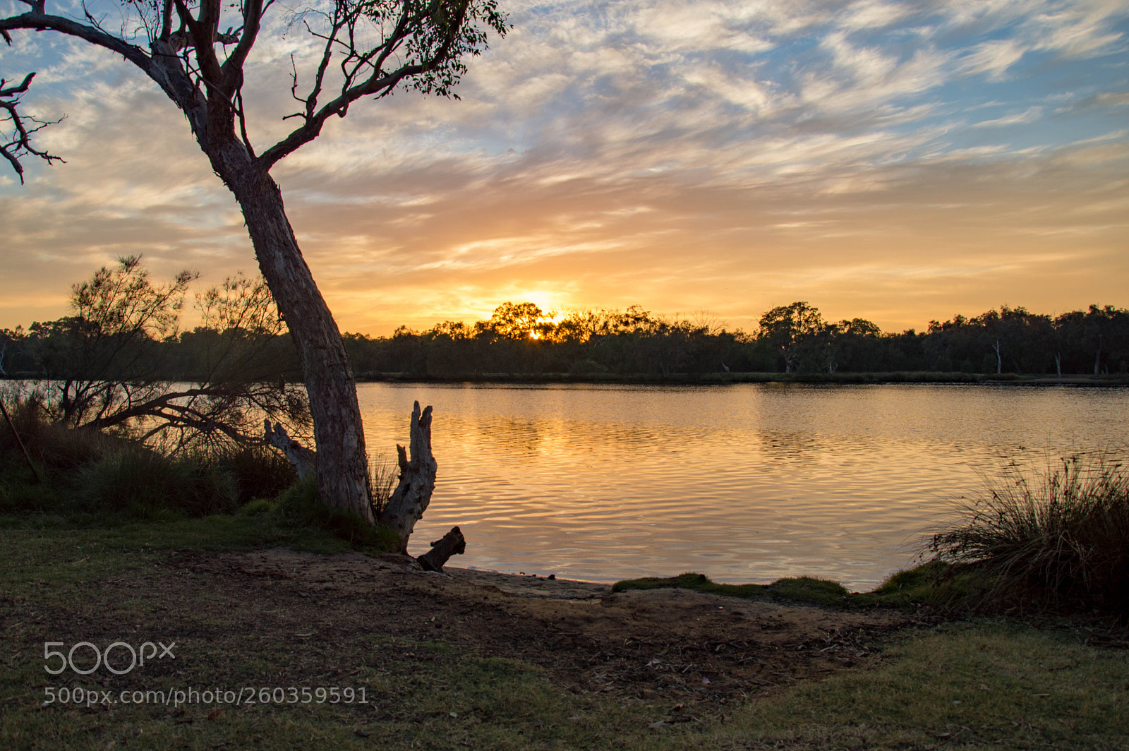 Nikon D3200 sample photo. Swan river dawn photography
