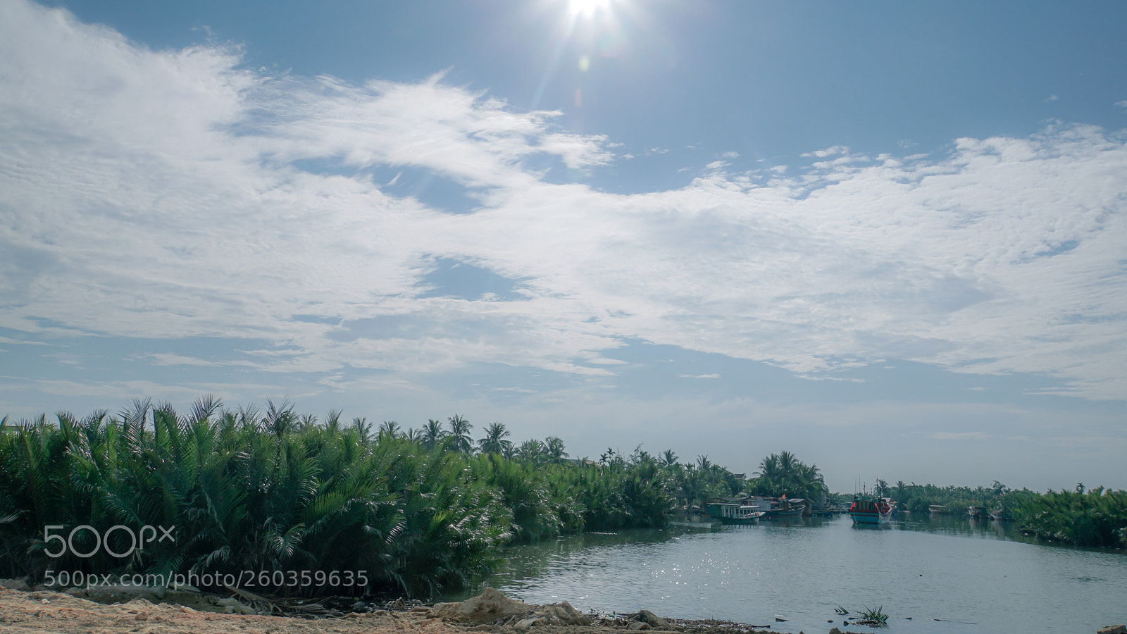 Sony a6000 sample photo. Rừng dừa photography