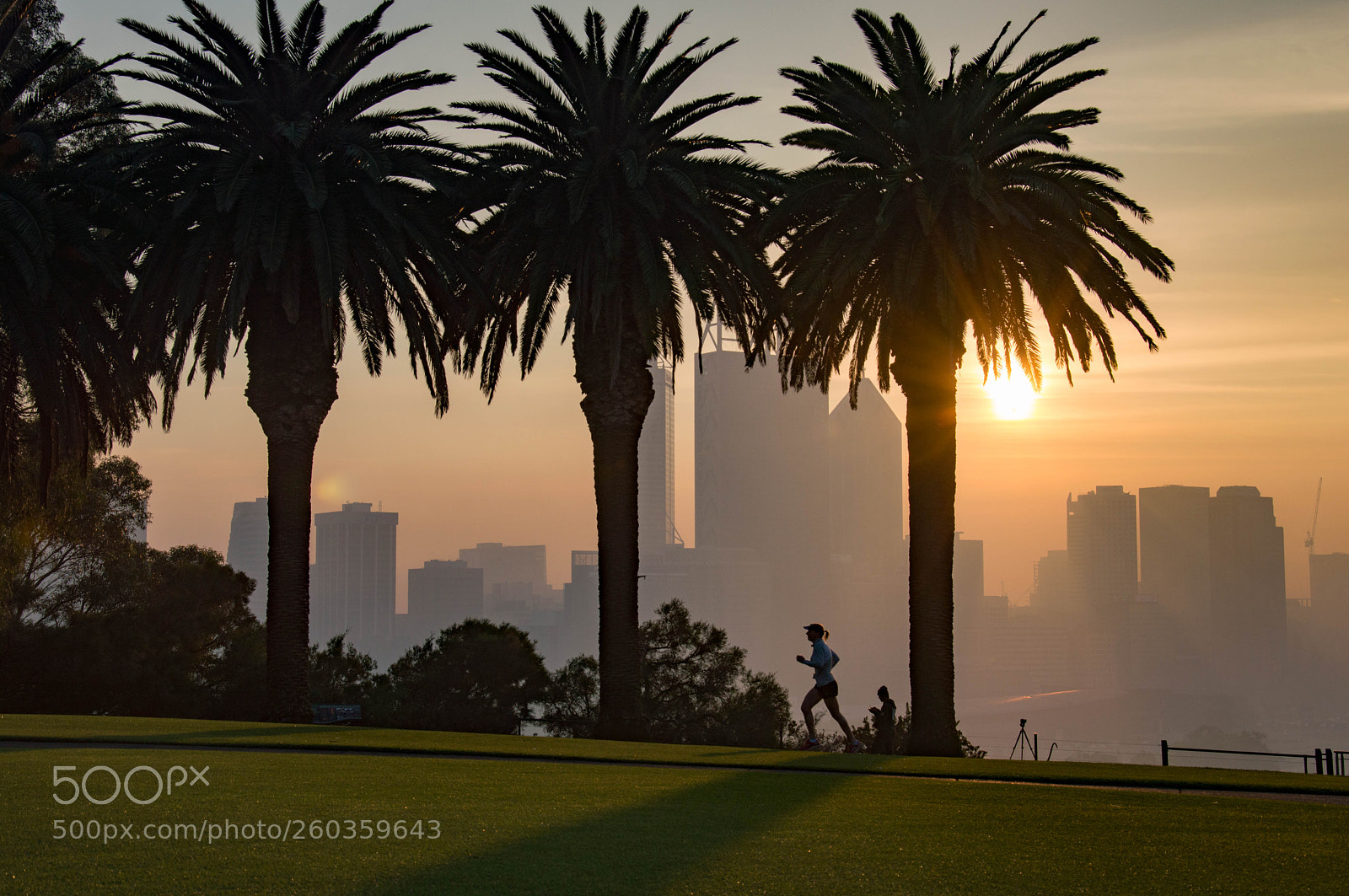Nikon D3200 sample photo. Kings park dawn photography