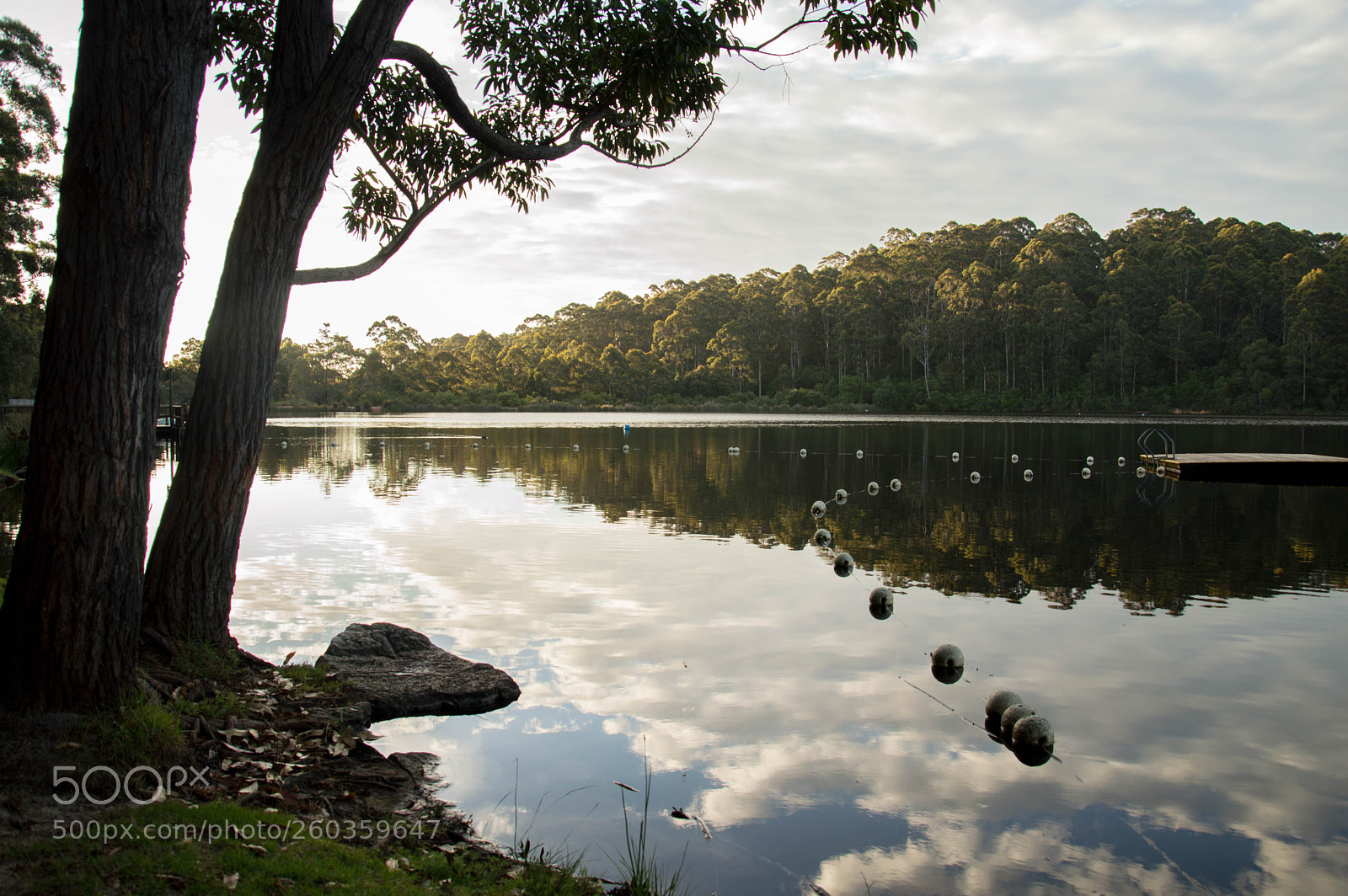 Nikon D3200 sample photo. Karri valley sunset photography