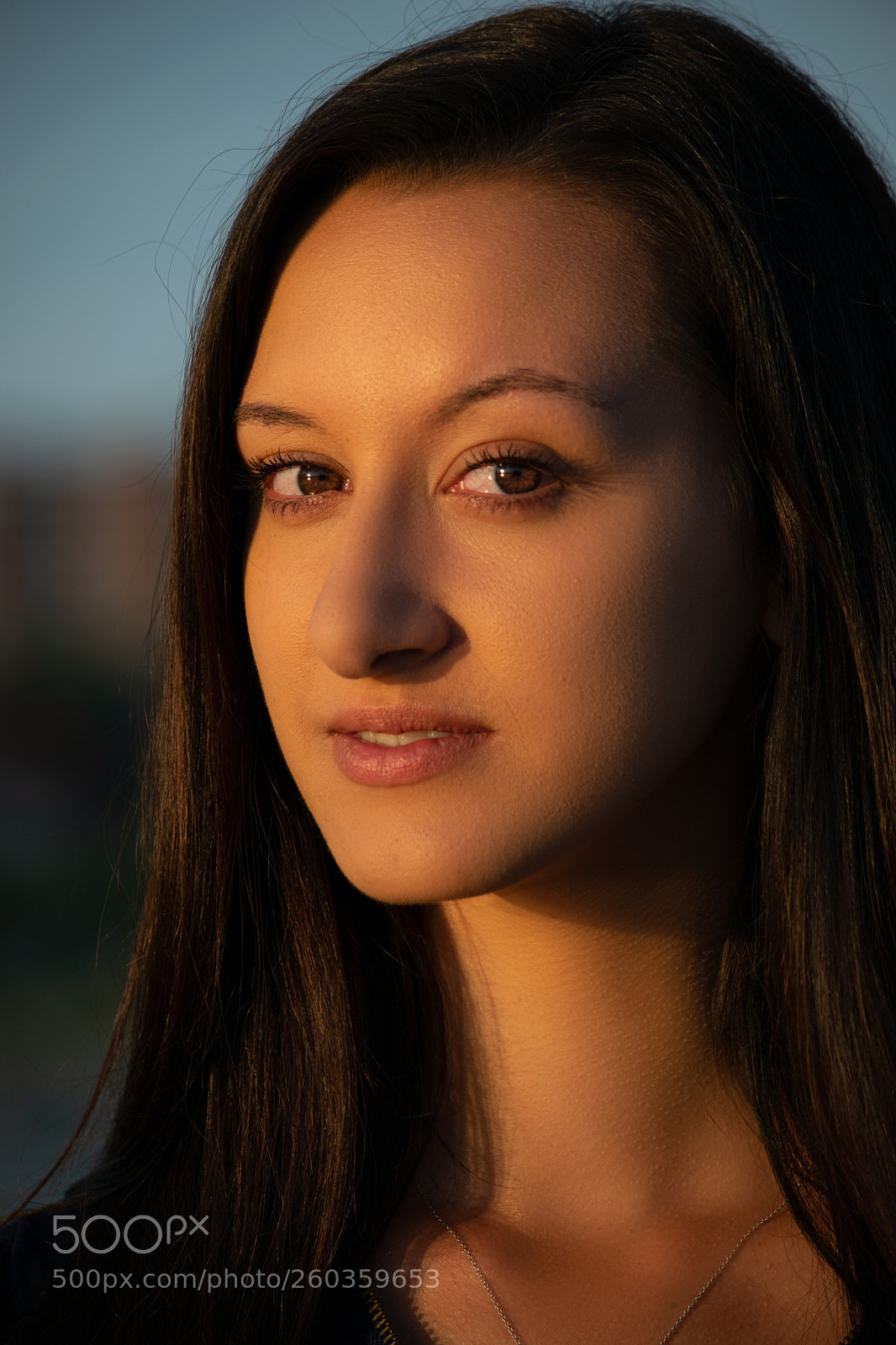 Nikon D5300 sample photo. Modern day mona photography