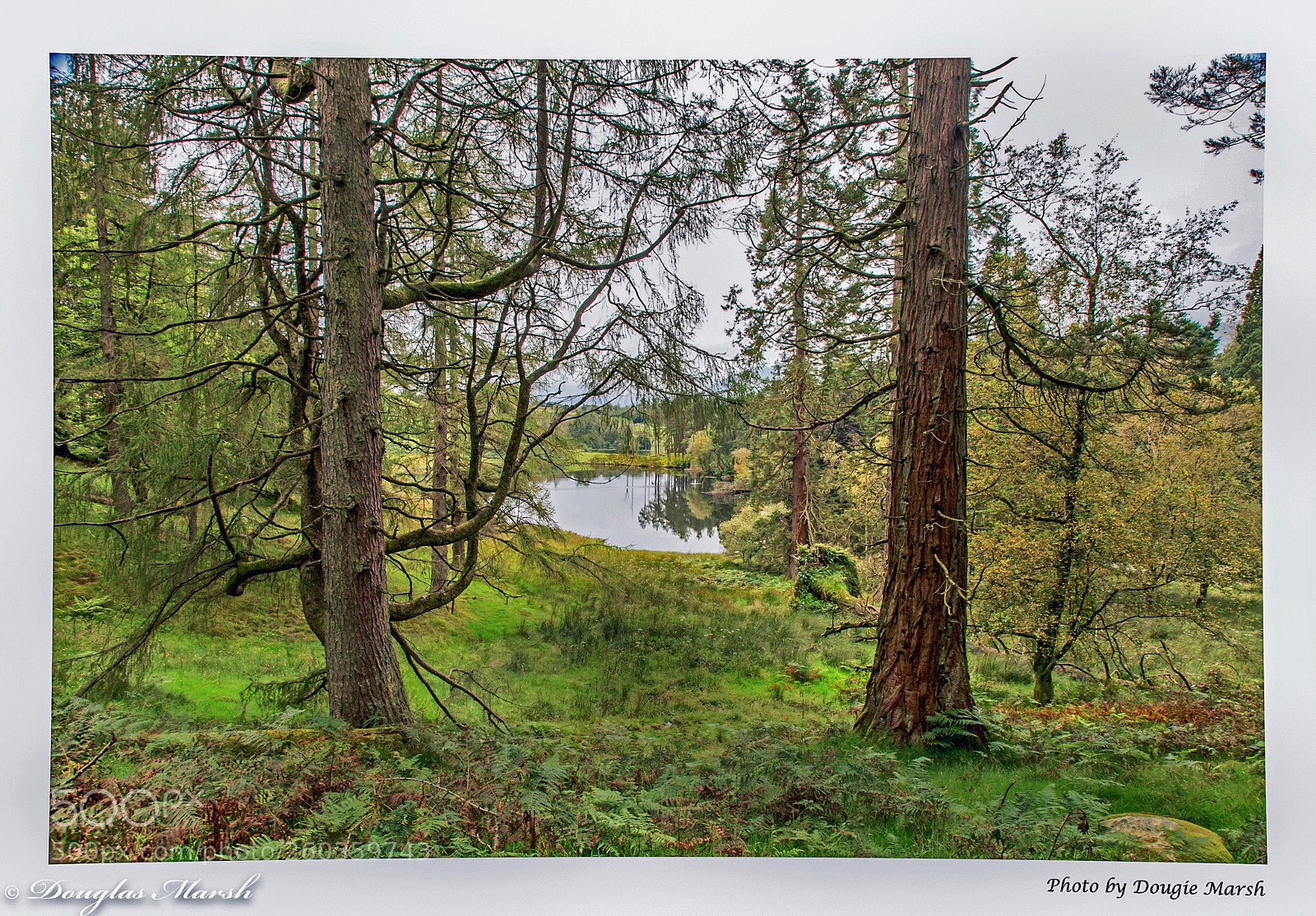 Canon EOS 5D Mark II sample photo. Untitled photography
