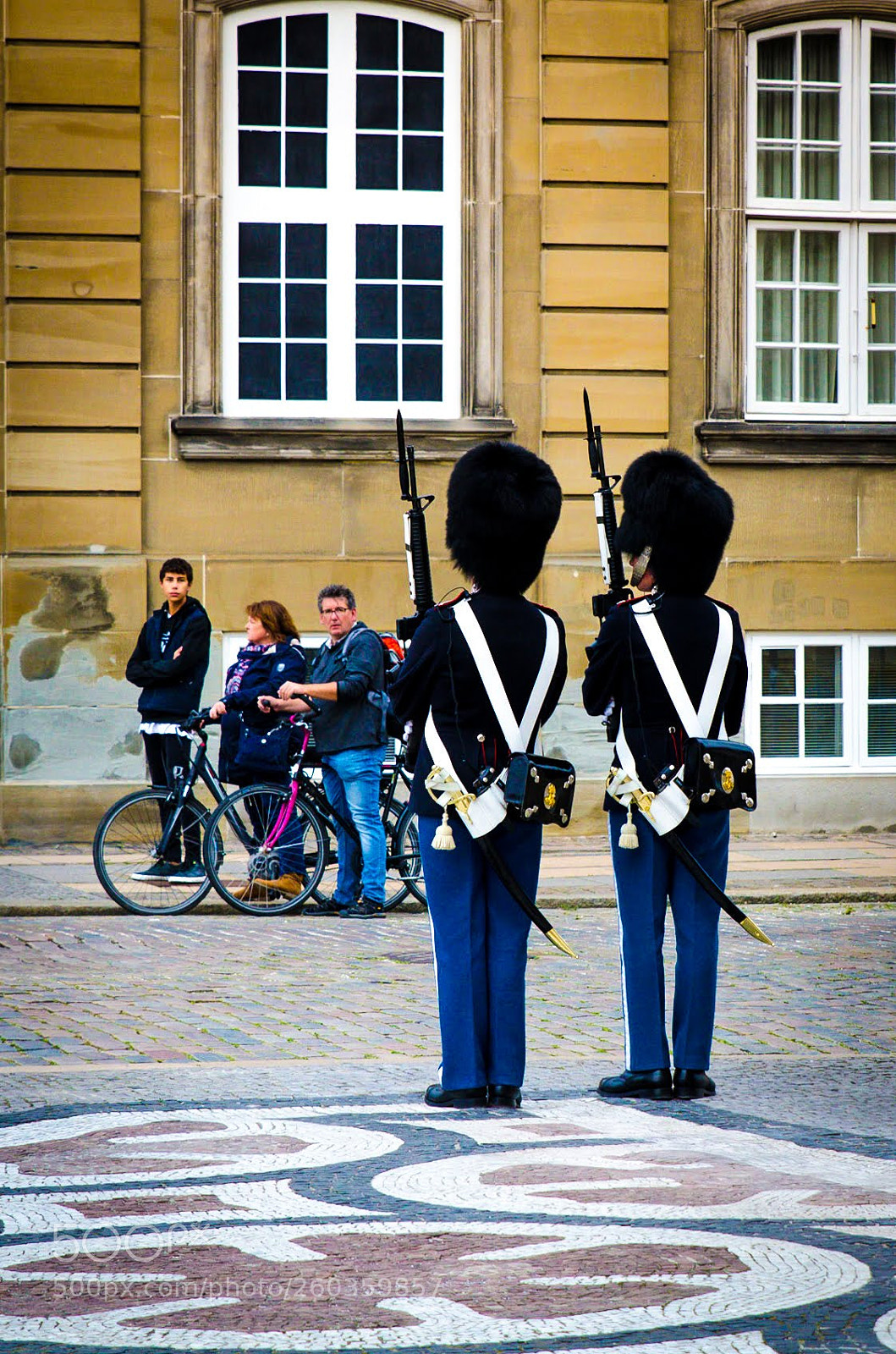 Nikon D7000 sample photo. Watching guards photography