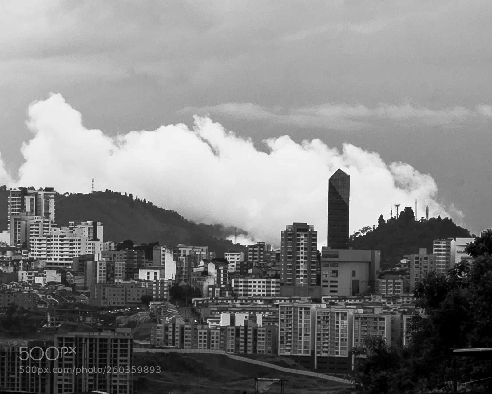 Nikon D3000 sample photo. Untitled photography