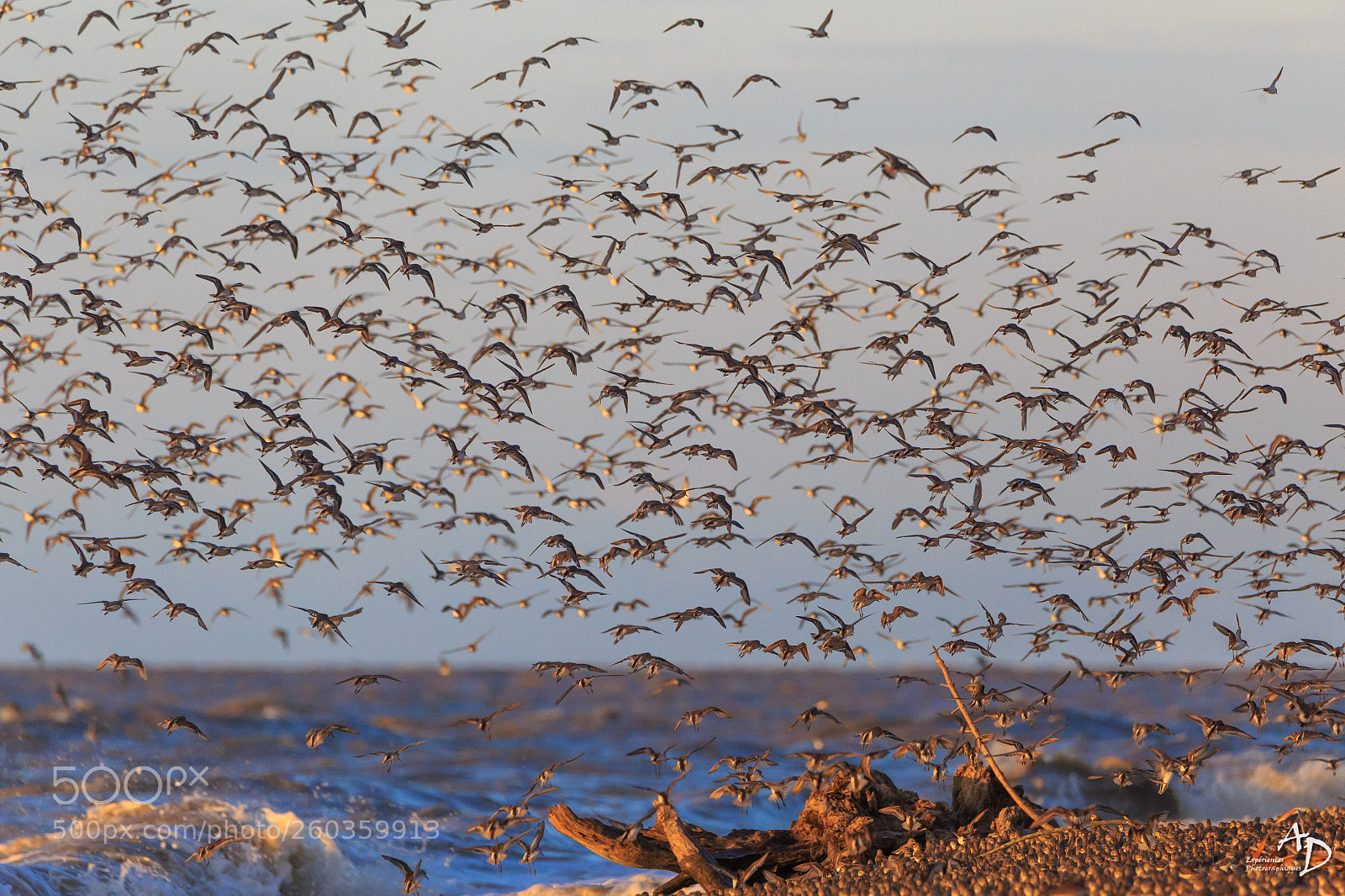 Canon EOS 6D sample photo. On the beach ! photography