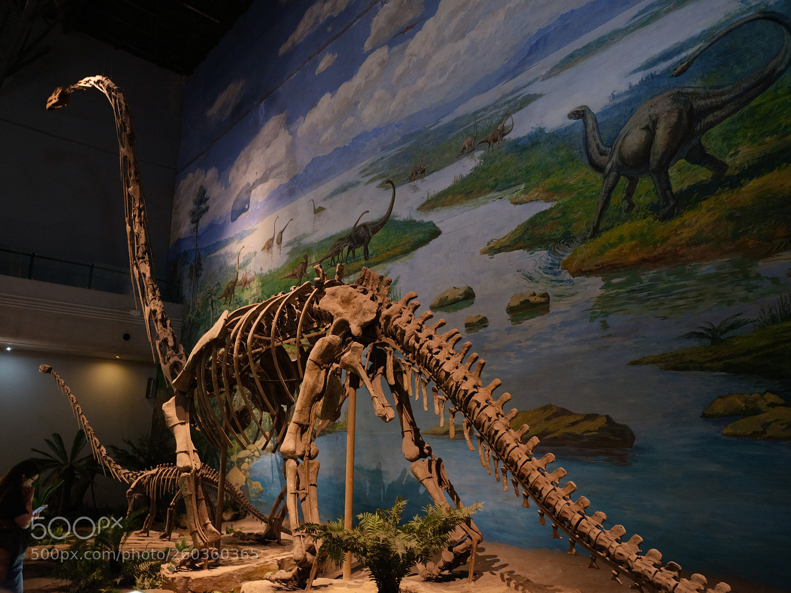 Fujifilm GFX 50S sample photo. Dinosaur photography