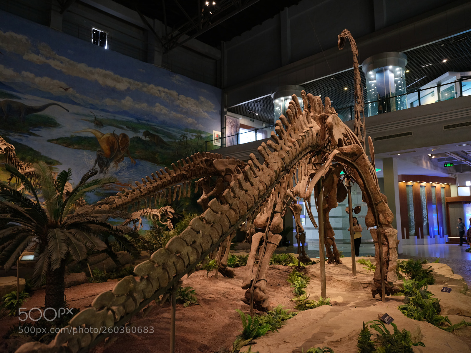 Fujifilm GFX 50S sample photo. Dinosaur photography