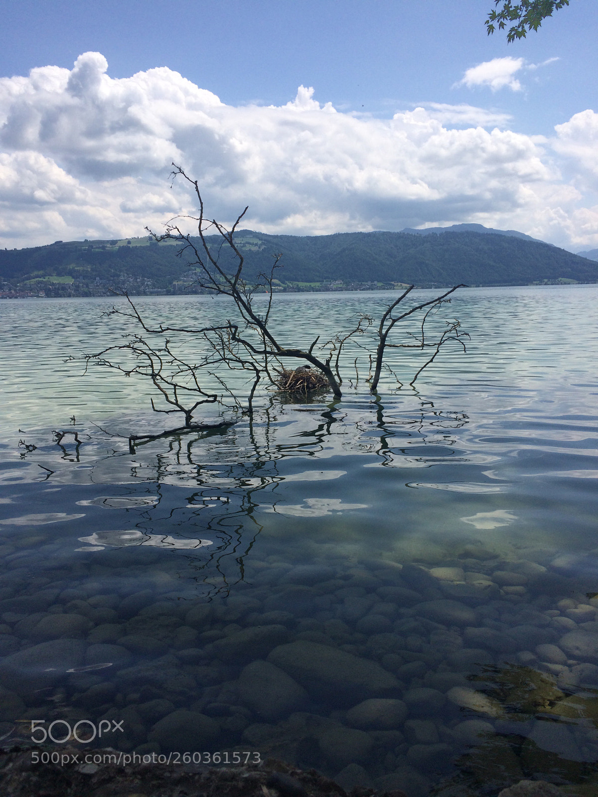 Apple iPhone 5s sample photo. Lake zug photography