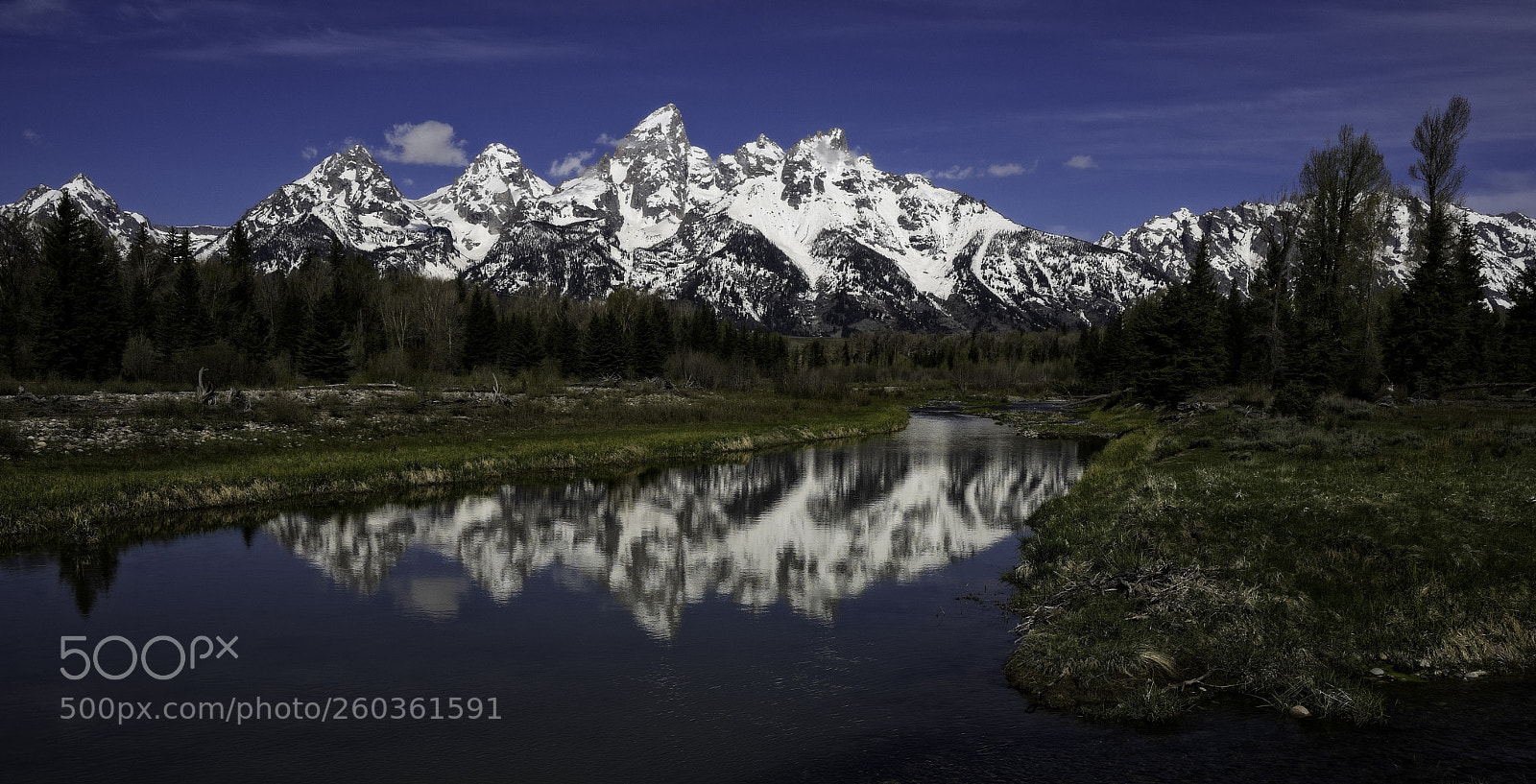 Sony a7 sample photo. A schwabacher morning photography