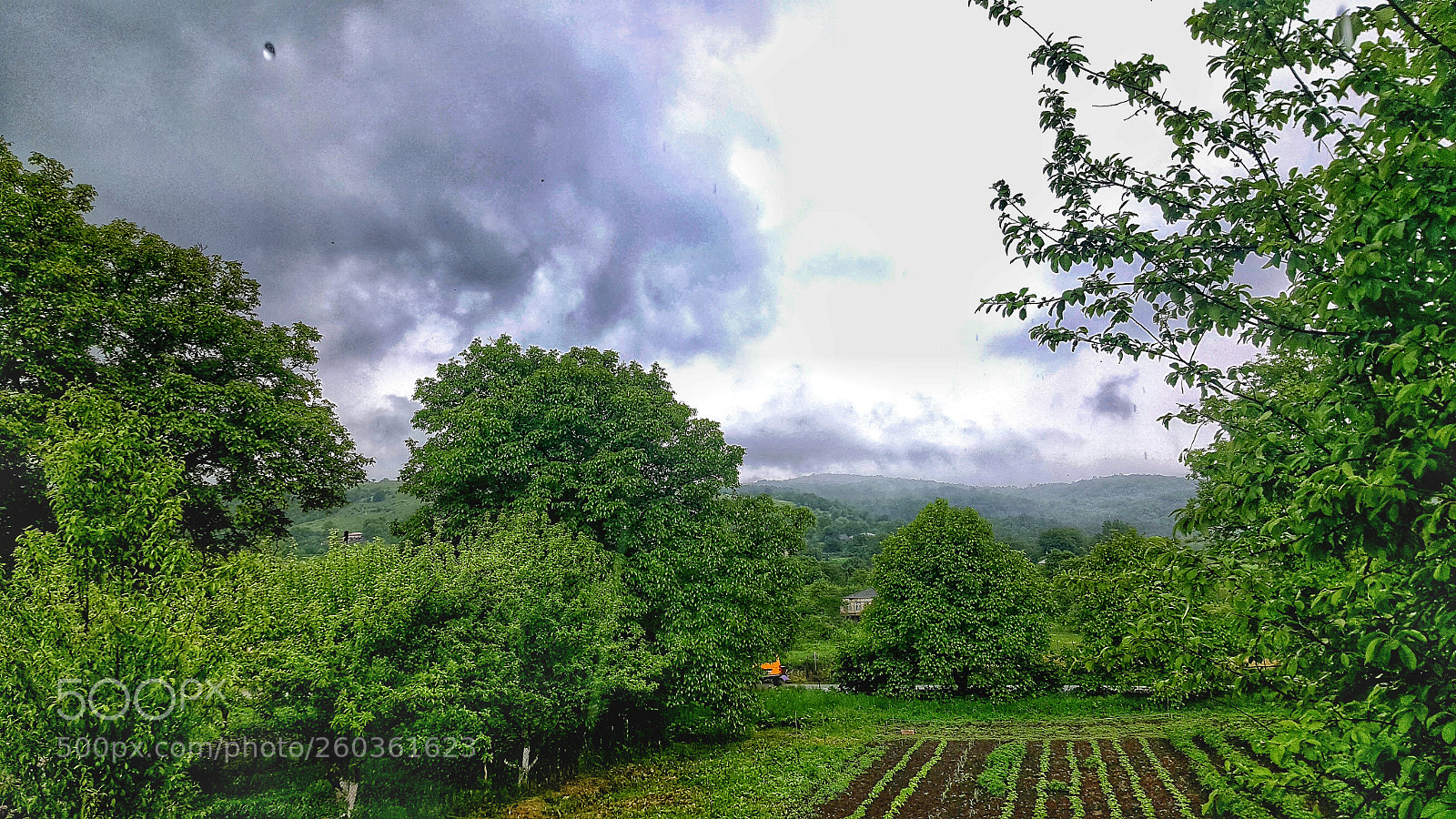 Samsung GALAXY S6 edge sample photo. Untitled photography