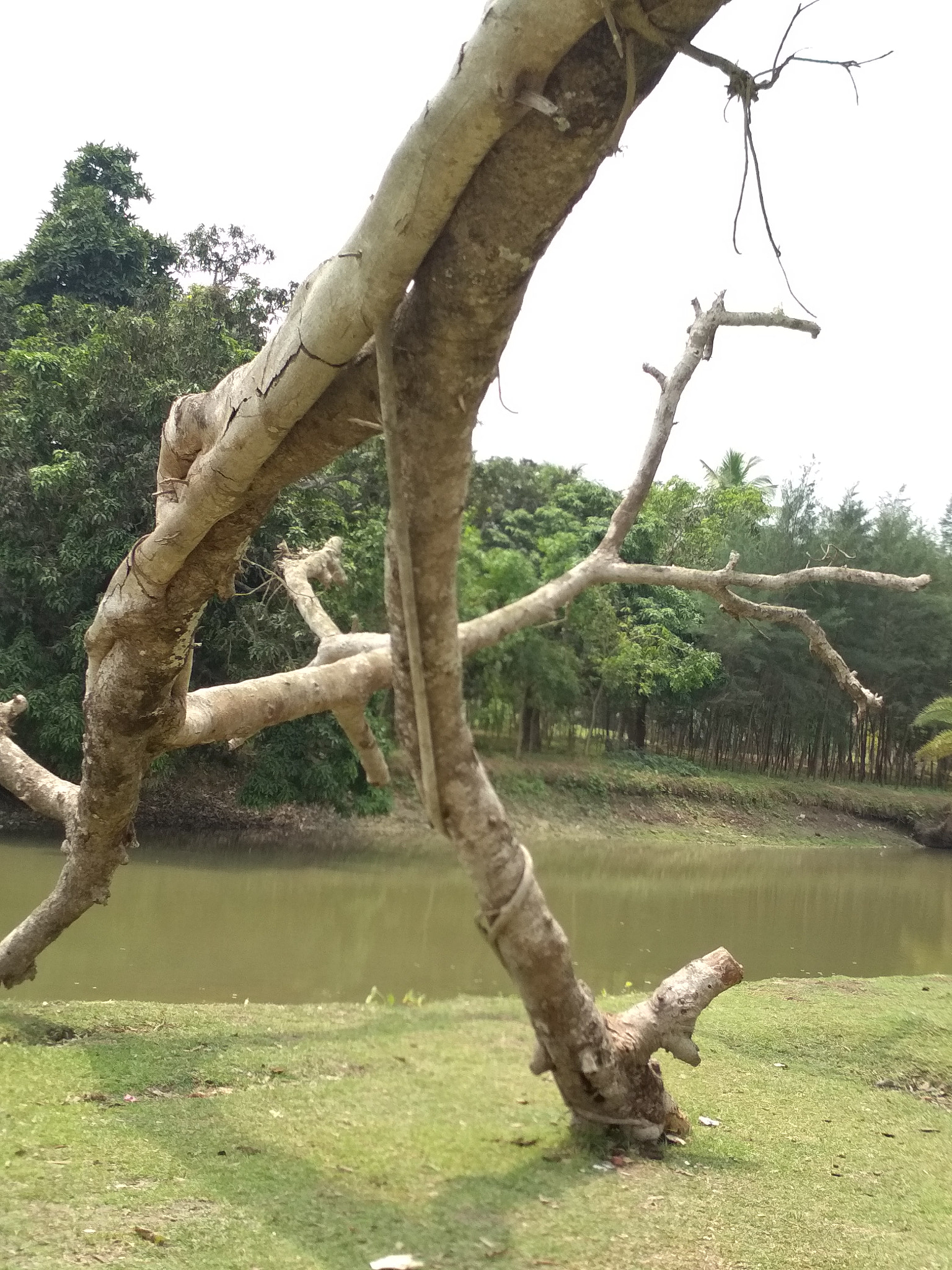 Xiaomi Redmi 4 Pro sample photo