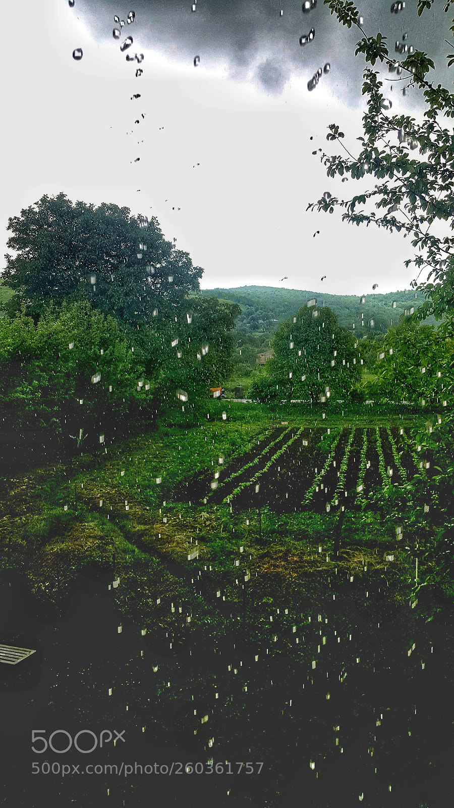 Samsung GALAXY S6 edge sample photo. Untitled photography