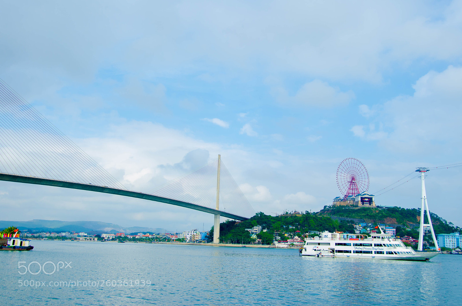 Nikon D5100 sample photo. Untitled photography
