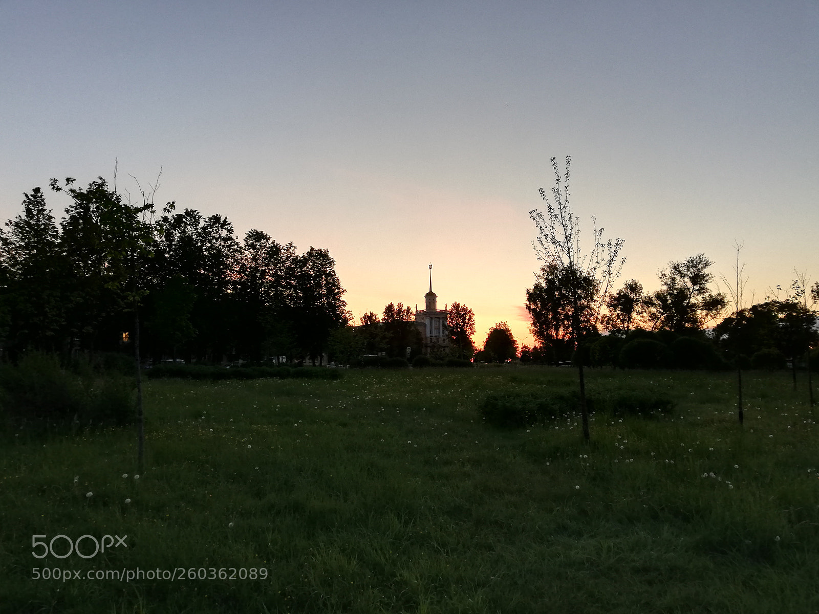 HUAWEI P20 lite sample photo. Untitled photography