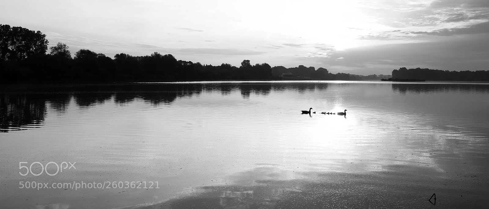 Canon EOS-1D X Mark II sample photo. Schulensmeer photography