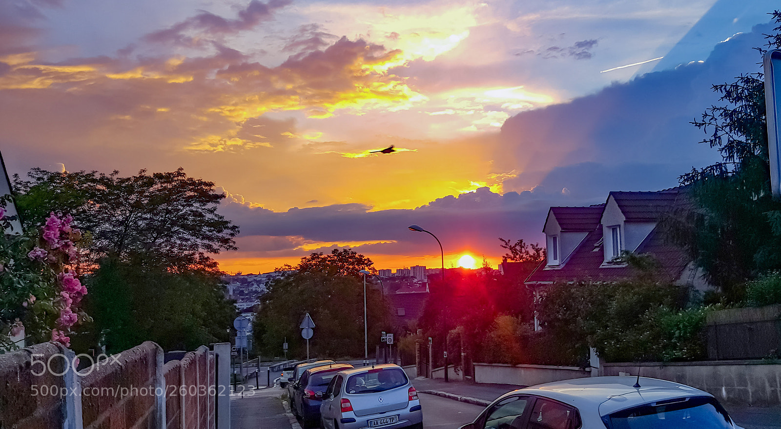 Samsung Galaxy S6 sample photo. Untitled photography