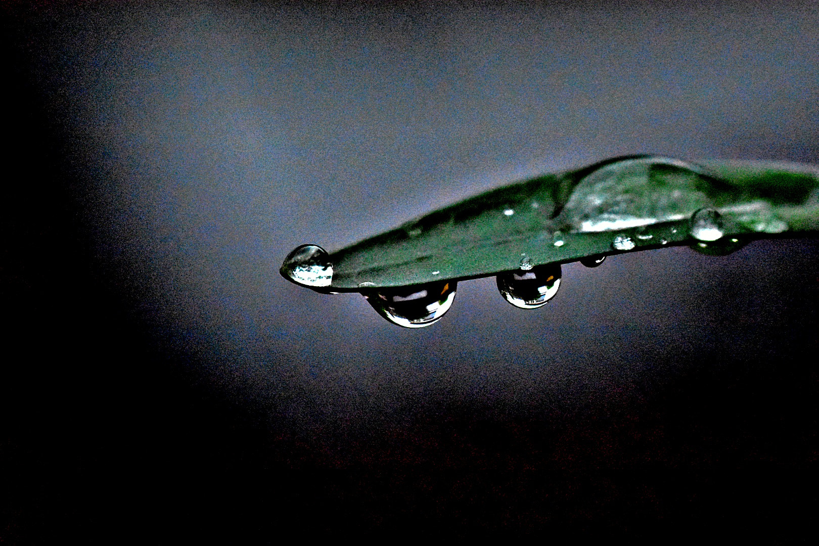 Nikon D3400 sample photo. Untitled photography