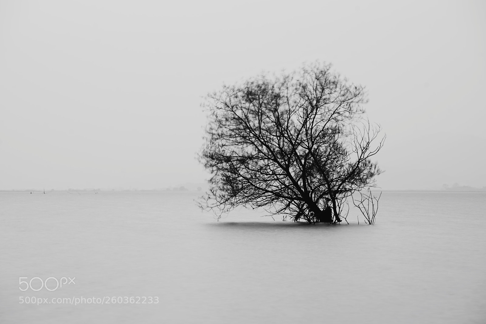 Sony a7 II sample photo. Lake photography
