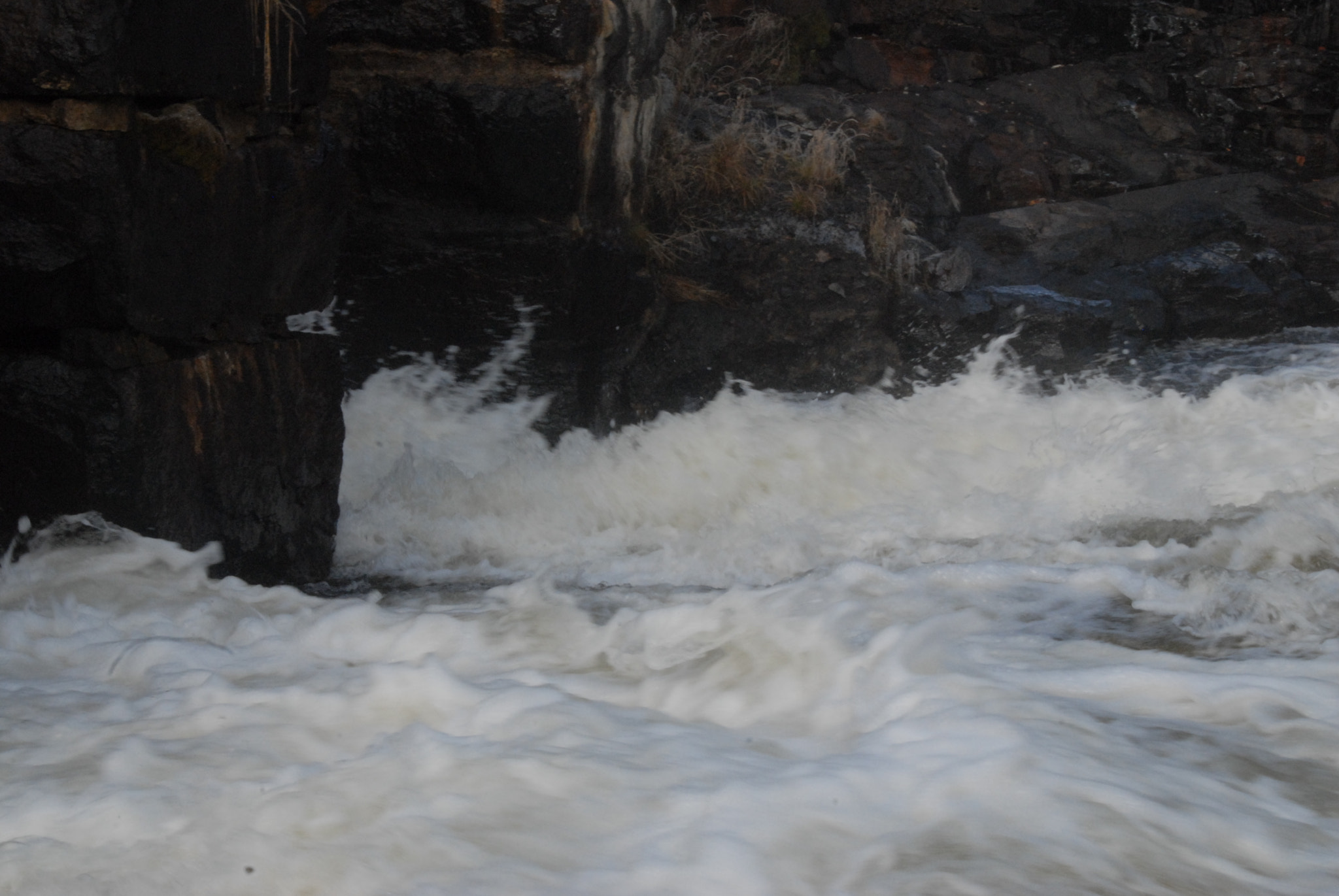 Nikon D200 sample photo. Kur photography