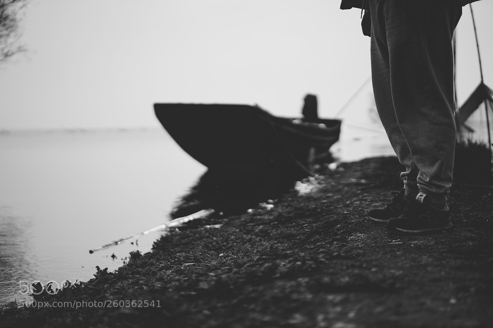 Sony a7 II sample photo. Untitled photography