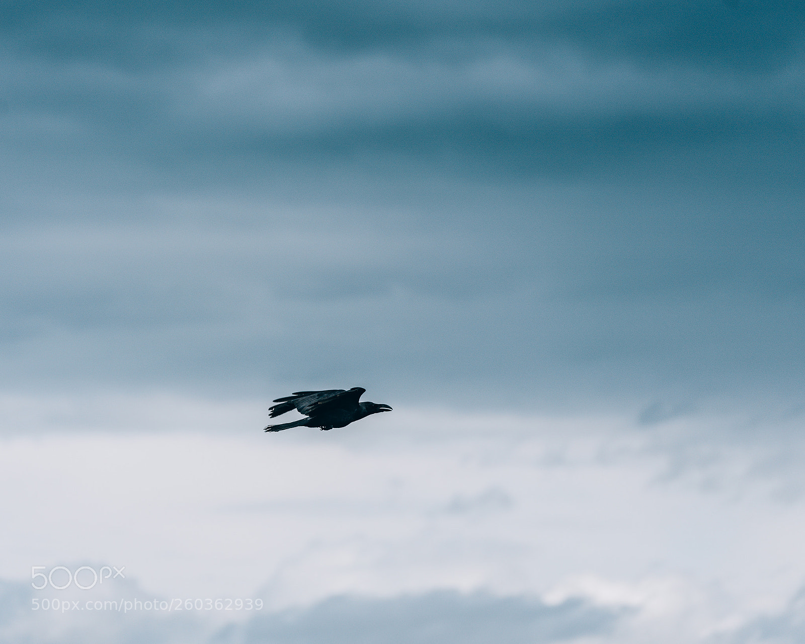 Sony a7R III sample photo. Flying photography