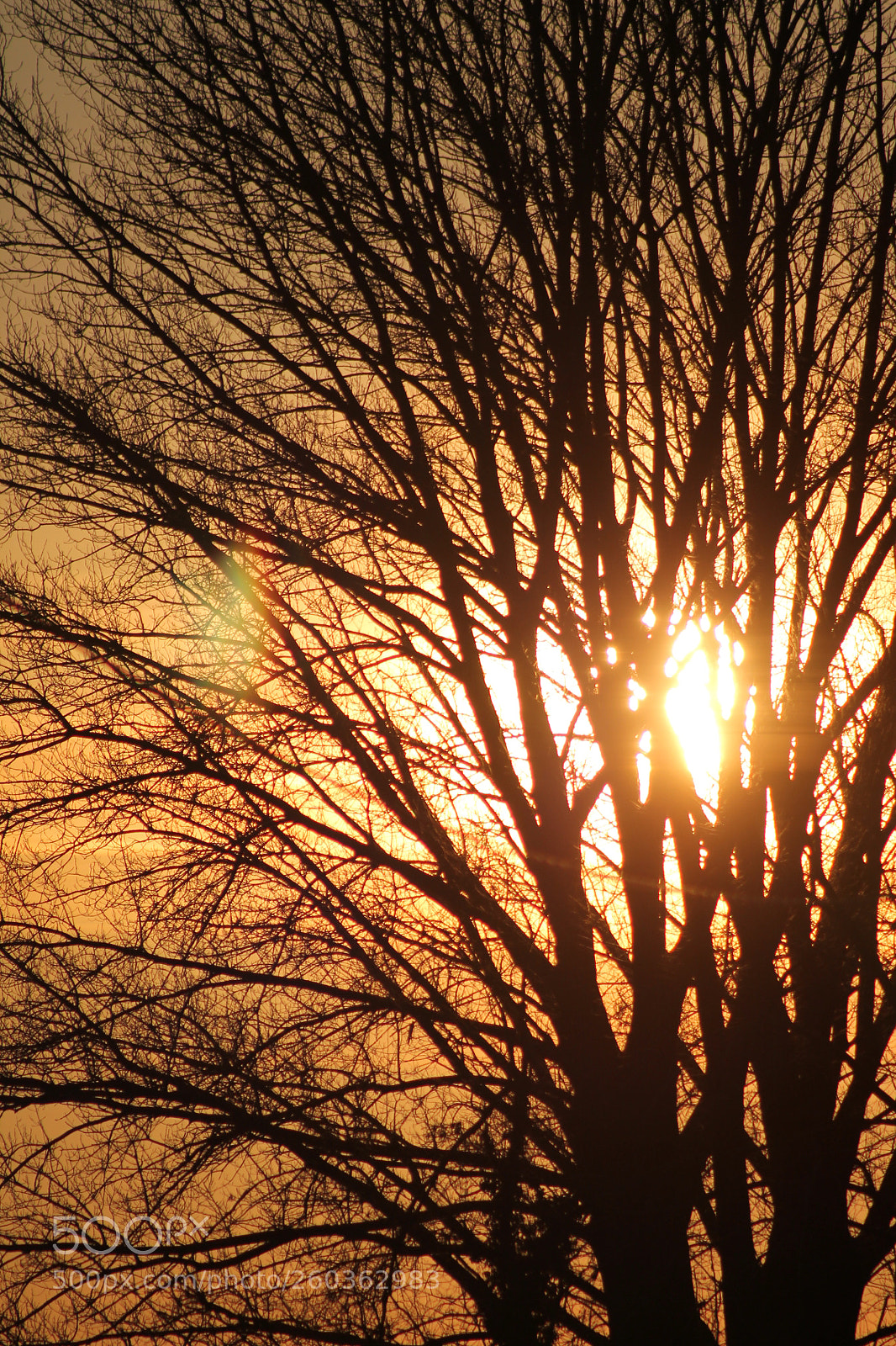 Canon EOS 1100D (EOS Rebel T3 / EOS Kiss X50) sample photo. Ciao, a domani photography