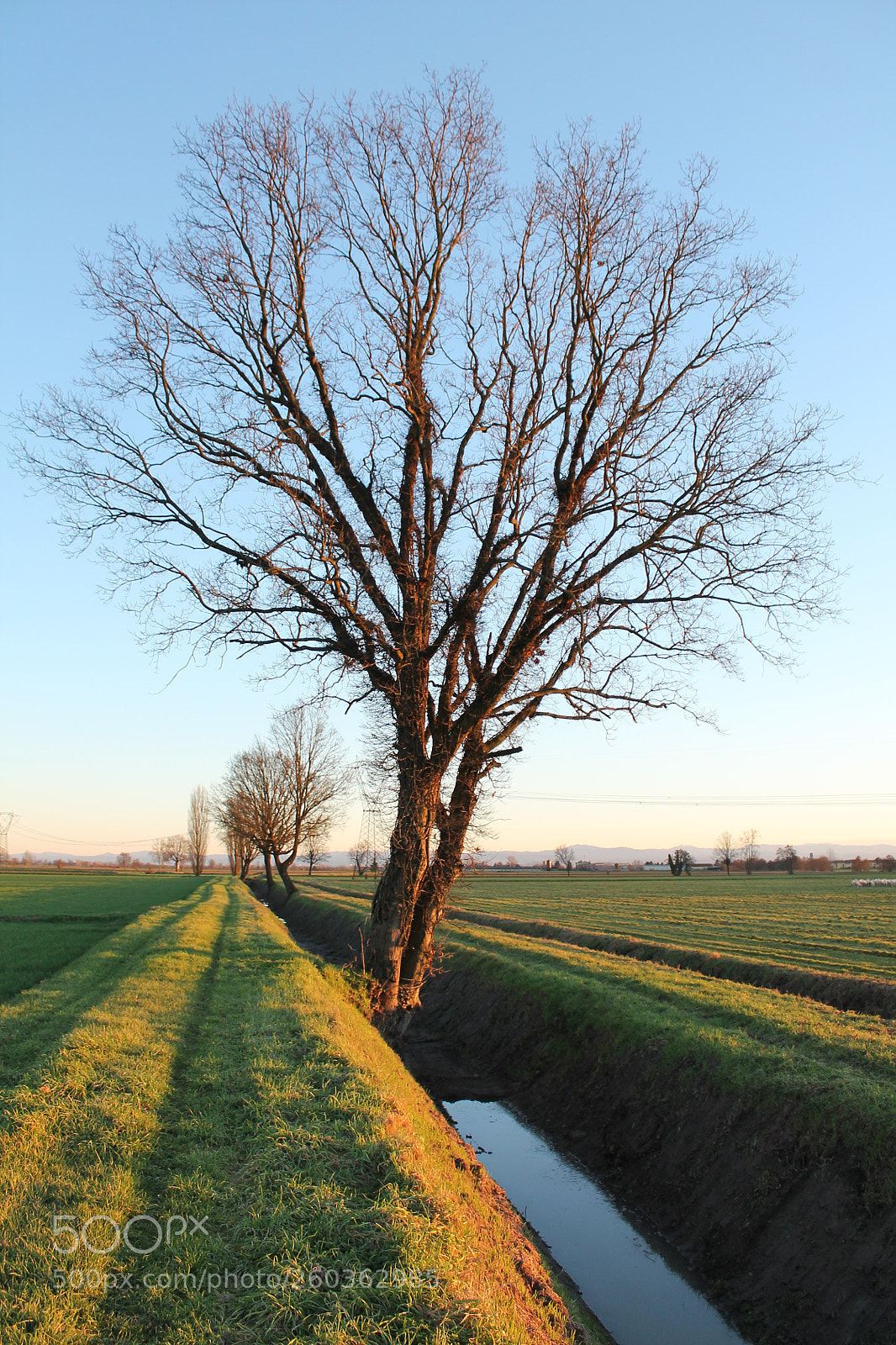 Canon EOS 1100D (EOS Rebel T3 / EOS Kiss X50) sample photo. Campagna lombarda photography