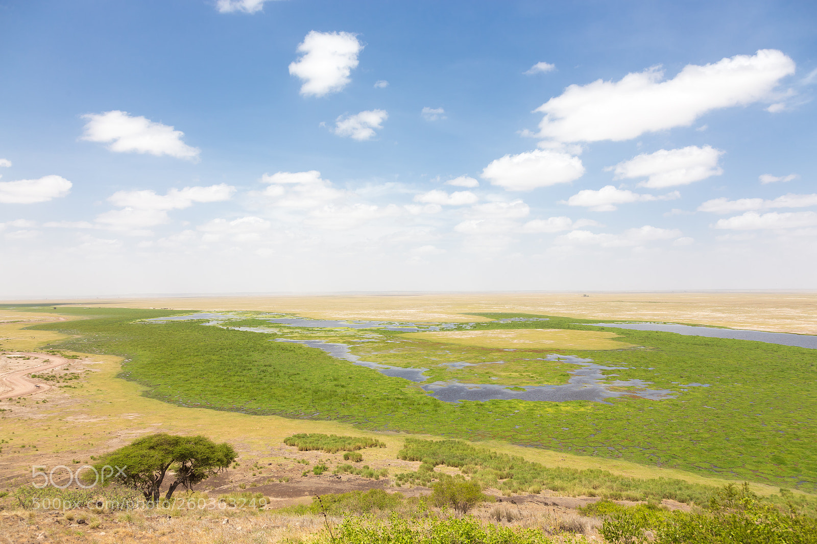 Canon EOS 6D sample photo. Panoramiv view of amboseli photography
