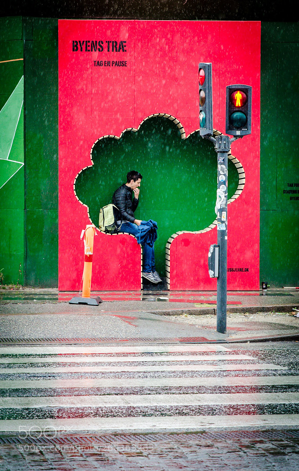 Nikon D7000 sample photo. Waiting in a tree photography