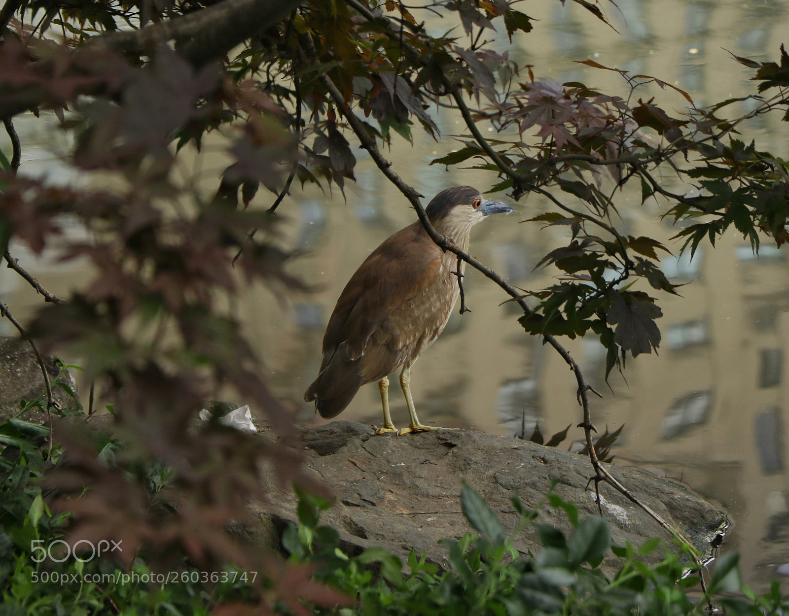 Canon EOS 7D Mark II sample photo. Fishing  photography