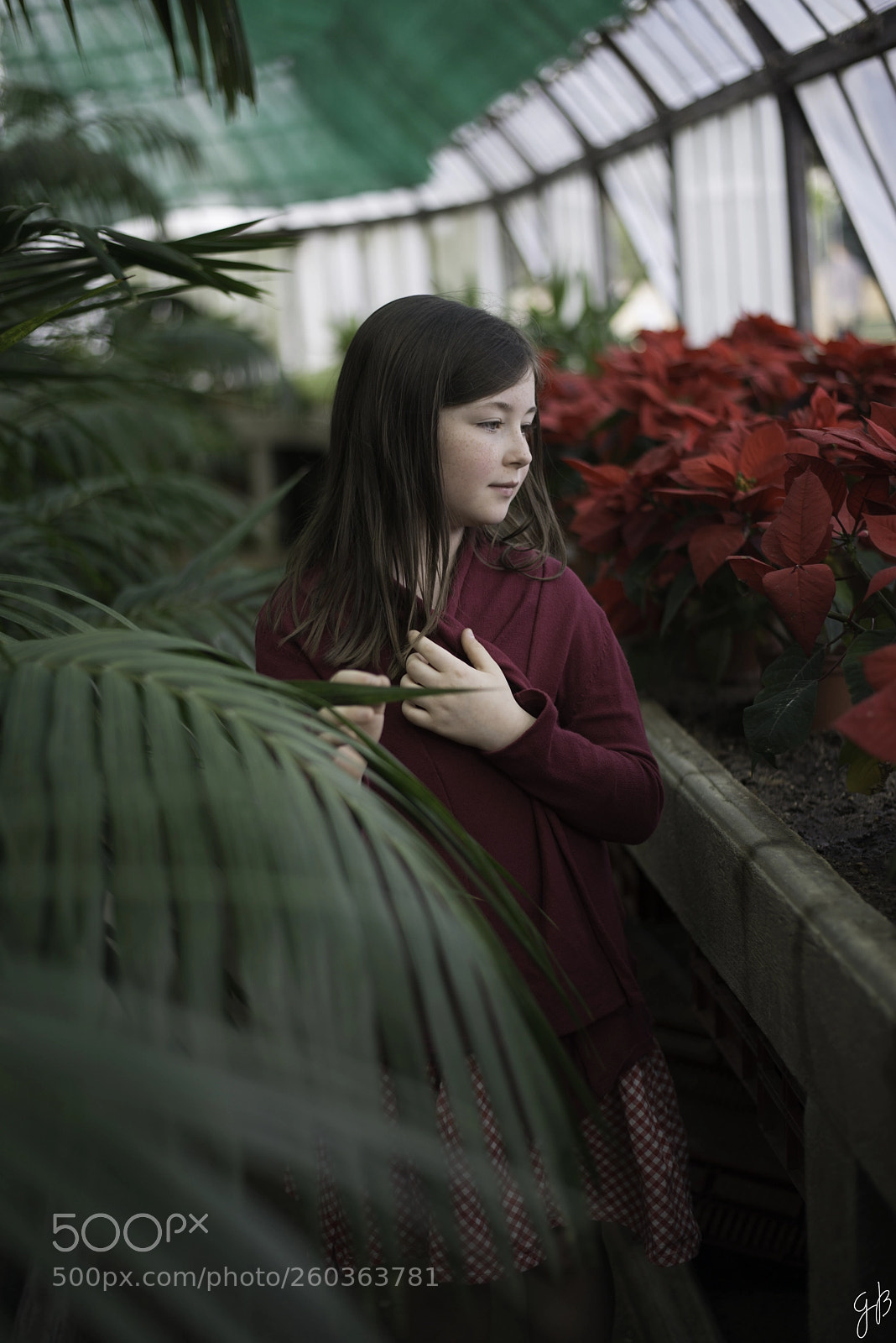Nikon D800 sample photo. Portrait photography