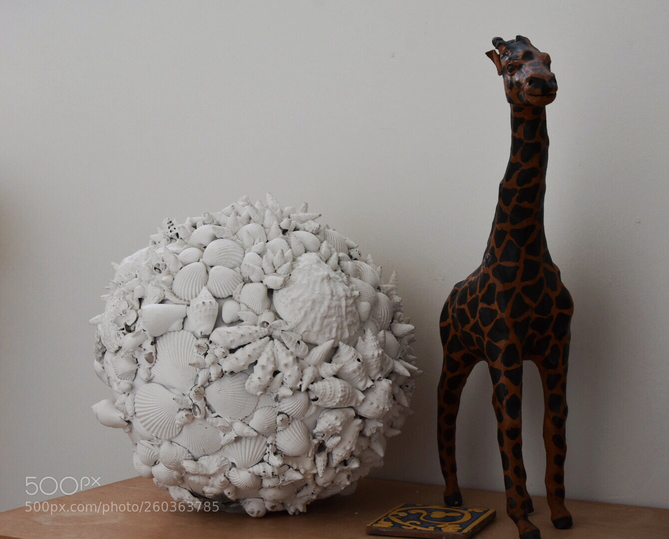 Nikon D7200 sample photo. Giraffe&whiteshellsball photography