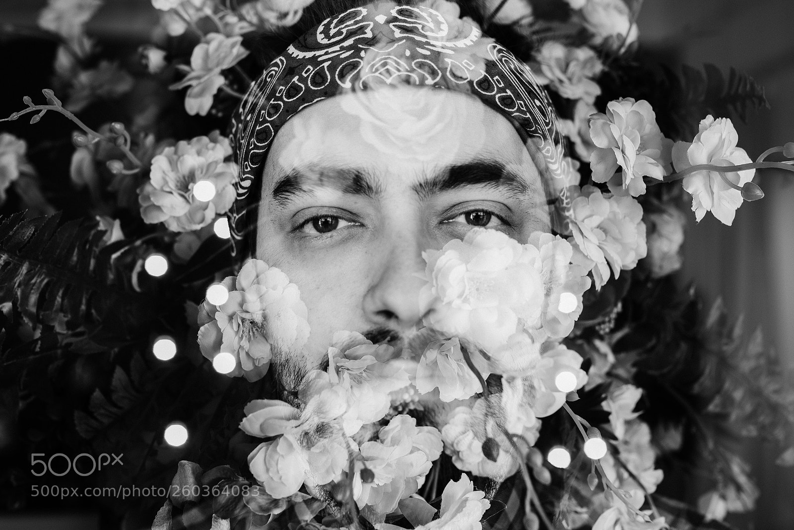 Nikon D610 sample photo. Flowers of beard photography