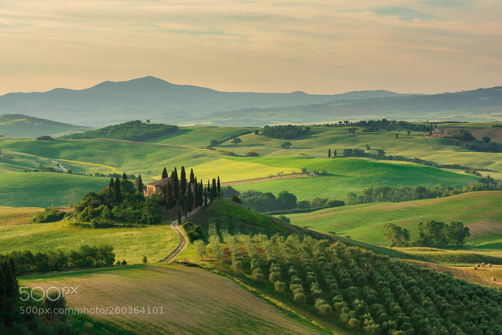 Nikon D810 sample photo. Belvedere at sunrise photography