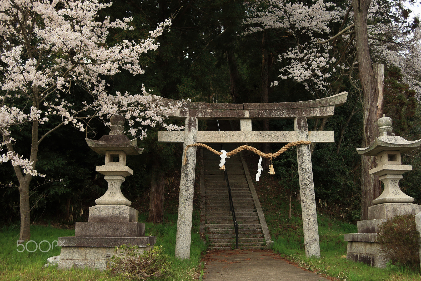 Canon EOS-1D Mark III + Canon EF 28-80mm f/3.5-5.6 USM sample photo. 八幡さん photography