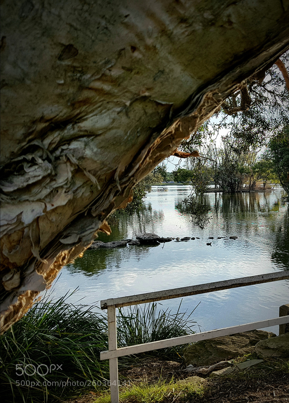 Samsung Galaxy S8+ sample photo. Centennial park4 photography
