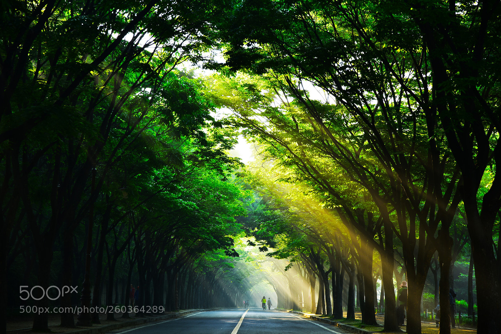 Nikon D810 sample photo. Untitled photography