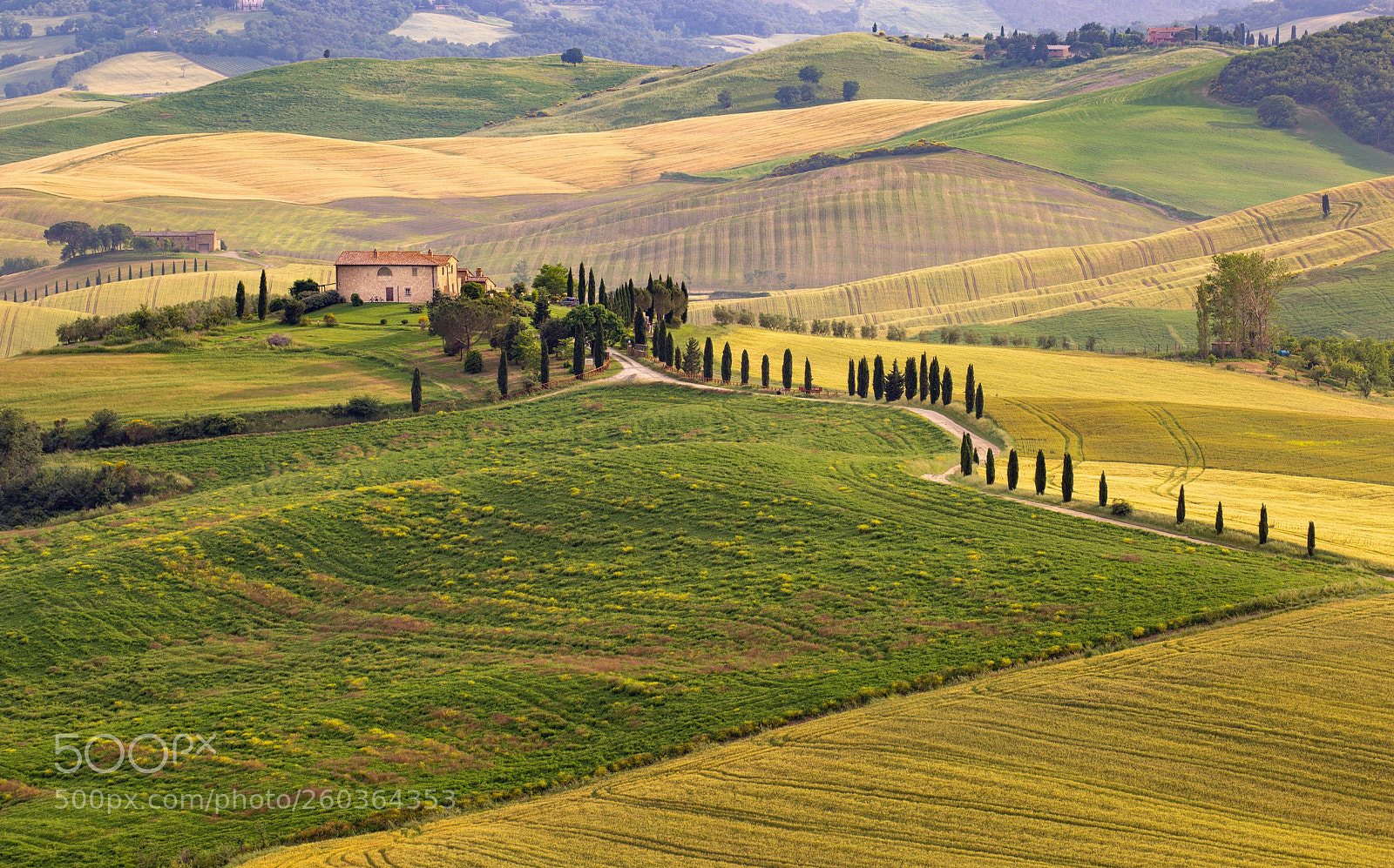 Canon EOS 6D sample photo. Tuscany hills photography